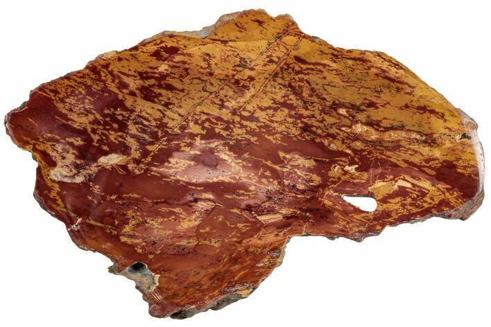 Polished Red and Yellow Shirley Basin Jasper - Wyoming #229042